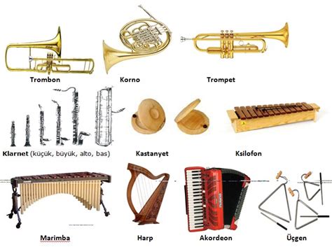 müzik çalgı aletleri ve isimleri